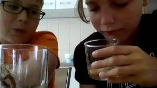 Eklige Smoothie Challenge mit Todesgeil Freak#1