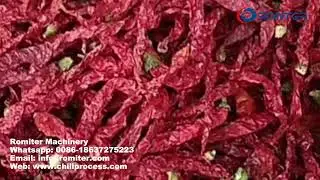 Automatic Chili Stone Removing Cleaning Machine