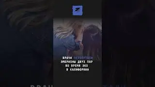 Врачи перепутали эмбрионы двух пар во время ЭКО #новости #поток #эко #врачи #калифорния #семья