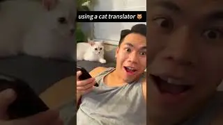 Funny CAT Moments 😂😂 episode 7776 #funnycats #cats #funnyanimals #petsofinstagram