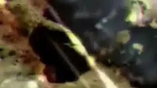 Секретная Лунная миссия ,,Аполлон 20''