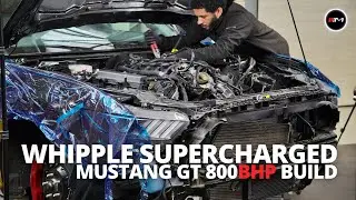 Building a Supercharged Mustang GT | Part Two - Engine Strip Down