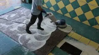 Carpet Cleaning in Chicago, IL