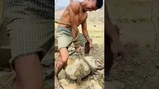 Giant stone 110kg  above.lifting who has more powerful?😠😠😠