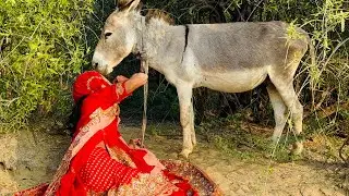 My New Donkey in a Rural Village &ndash; Fun 🤩Love & Pure Desi Life 😂