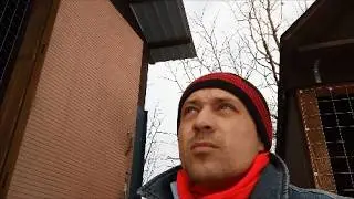 Отбираю лучших почтовых голубей. Ястреб летает возле голубятни. Сделали кормушку для мелких птичек.