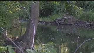 Bodies of teens recovered from creek in Wilmington Twp.