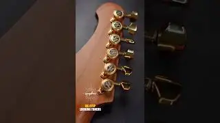@AndrasSzvirida just gave his guitar a full Guyker upgrade, and the result speaks for itself!
