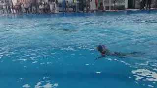Raju sports academy Panchkula district competition 50 M brush top
