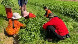 ទឹកចិត្តខ្មែរស្រលាញ់ខ្មែរ ខ្មែរជួយខ្មែរ
