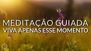 MEDITAÇÃO GUIADA: VIVA APENAS ESSE MOMENTO (ATENÇÃO PLENA)