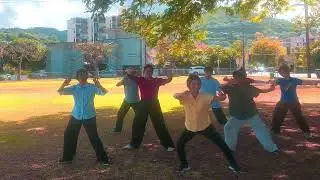 Yang42 #taichichuan Martial Arts with Hawaii Taiji Health and Sports Association 