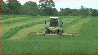 Krone Big M 2 mowing silage 2016 HD