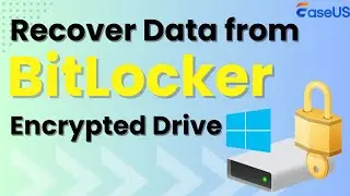 Восстановление данных с зашифрованного диска BitLocker | С ключами или без них