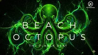 BEACH OCTOPUS | GOA FULL POWER HYBRID | THE PLANCK BEAT