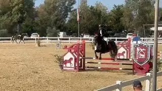 Buon Natale con un ritorno in 100 il 19/10/2025 con Ringo. Questa volta senza intoppi #horsejumping
