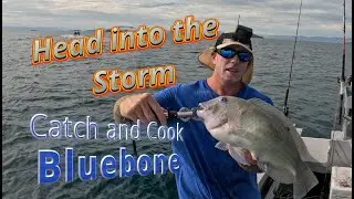 Head into the storm, Blue Bone Catch and Cook