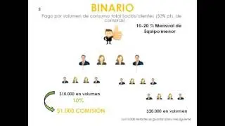 PLAN DE PAGOS Livelite /Syntek Global