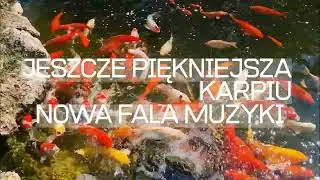 KARPIU - JESZCZE PIĘKNIEJSZA - NOWA FALA MUZYKI