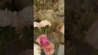 #silentnature #beautyfullgarden#flowers #pixelvideo #