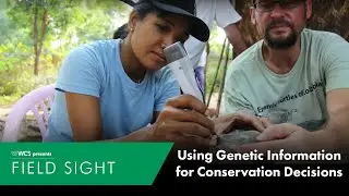 Using Genetic Information for Conservation Decisions