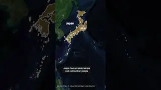 How Japan ended up with 'Cat Island' 🐈