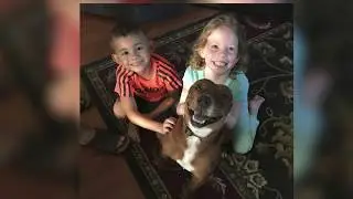Animal Services, Animal Stories: Helping Alachua County's Pets
