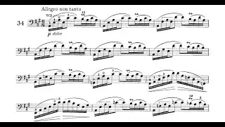 Dotzauer 113 Estudos - 34/34