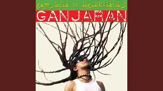 Hutan Rebah