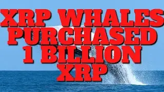 RIPPLE XRP WHALES HAVE BOUGHT NEARLY 1 BILLION XRP SINCE DECEMBER 2021
