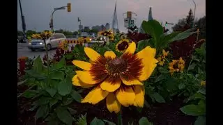 The Importance of Foreground  - Philosophy of Photography