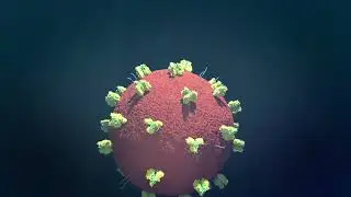 How do viruses get into cells? Viral entry process of HIV virus
