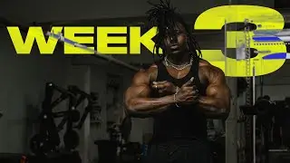 ëlɘvatēd. | week 3 SBD