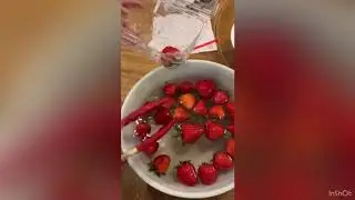 THERE ARE BUGS IN MY BERRIES? (How to Wash Your Strawberries) | pootsplants