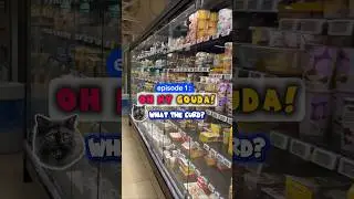 Why the Dutch Yogurt Aisle Is So Confusing in The Netherlands? 🇳🇱 Comment your go-to yogurt. 👇