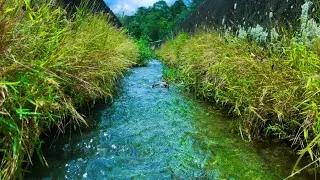 🔴 Goodbye Insomnia &bull; Relaxing Water Flow for Deep Sleep 12 Hours of Relaxing Water sound