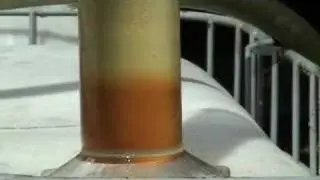 #Biodiesel #Transesterification #Reaction with ShockWave Power. #Ultrasonic GlobeCore