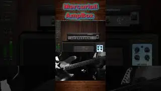 Ampeg SVT-7 | Mercuriall | Bass Slap Sound