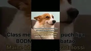 funny memes 2 khatole song #relatable #backbenchers #trending