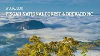 Pilot Cove | Cabin Rentals | Brevard NC | Pisgah National Forest | Campground