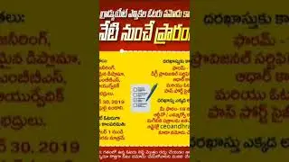 MLC graduate elections apply information