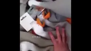Best Vines Duck Army Compilation #2
