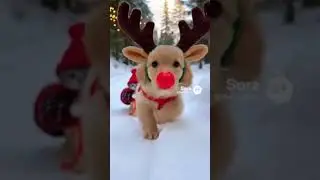The cutest delivery service in the North Pole ❄️✨