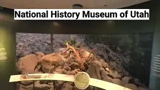 Natural History Museum of Utah in Salt Lake City is awesome! 