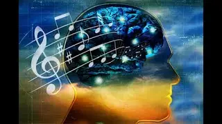 Dreamed Symphony Analogy — Diversity in Oneness w/ Dr. Bernardo Kastrup