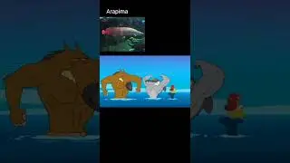 #alligator gar vs arapima#zig vs sharko#fish #fishlover #aquarium #shorts #ytshorts