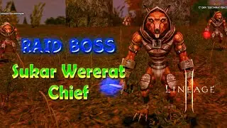 Lineage 2 Raid Boss Level 21 Sukar Wererat Chief (Вожак Трусливых Крысолюдов) на карте #lineage2