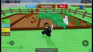 I Tried Growing a Garden