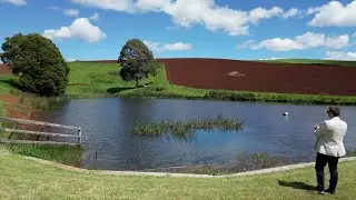 230 Castra Road, Ulverstone Tasmania