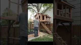 Build a small cat house in the corner of the yard. #cat #timelapse #building  #design